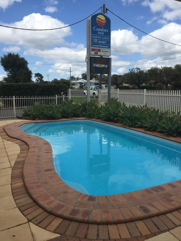 Harvest Lodge Motel - Gunnedah Exterior photo